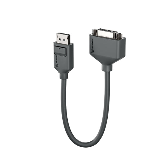 Elements DisplayPort to DVI Adapter - Male to Female - 20cm