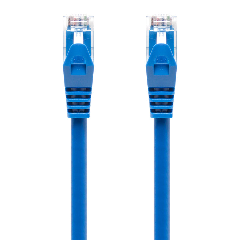 Blue CAT6 Network Cable