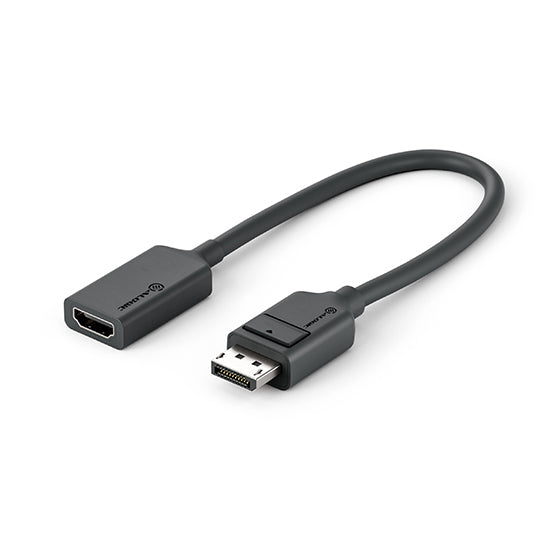 Elements Series DisplayPort to HDMI Active Adapter - 4K - Male to Male - 20cm
