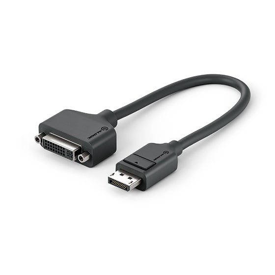 Elements DisplayPort to DVI Adapter - Male to Female - 20cm